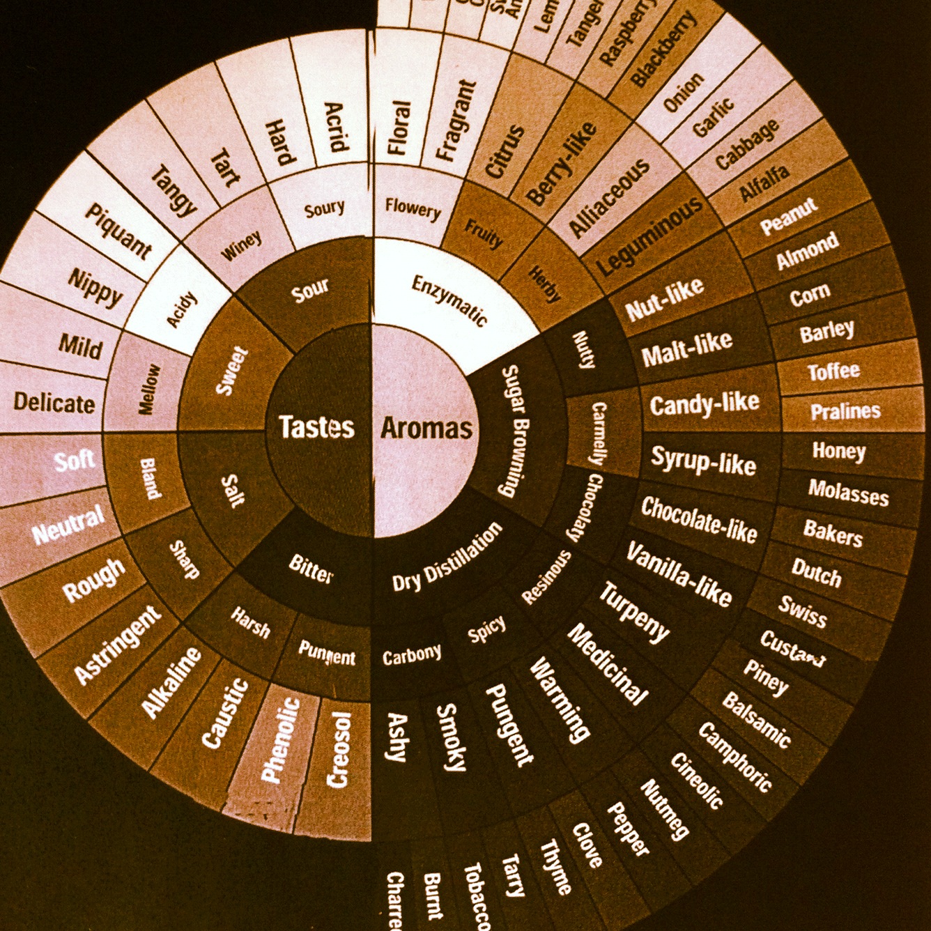 Flavor Profile Chart